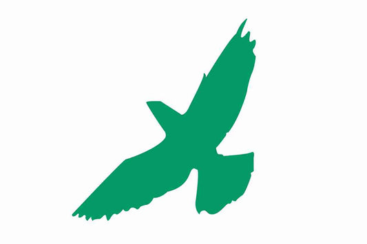Autocollant de protection contre les oiseaux 60-100 cm ES-VOG-60-54, couleur vert foncé, en plastique résistant aux intempéries.