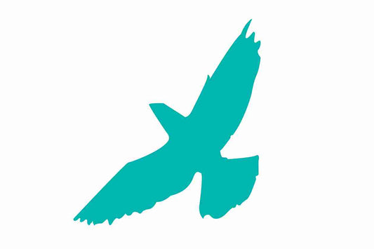 Autocollant de protection pour oiseaux 10–50 cm ES-VOG-60-802, couleur vert clair, en plastique résistant aux intempéries.