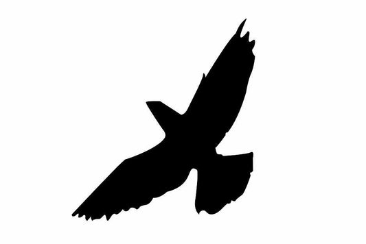 Autocollant de protection pour oiseaux 10–50 cm ES-VOG-60-88, couleur noire, en plastique résistant aux intempéries.