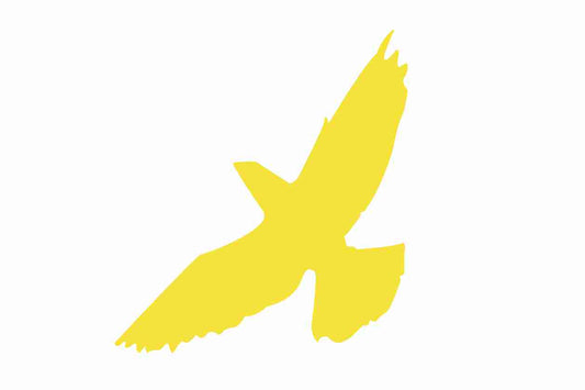 Autocollant de protection pour oiseaux 10–50 cm ES-VOG-60-GOM, or mat, en plastique résistant aux intempéries.