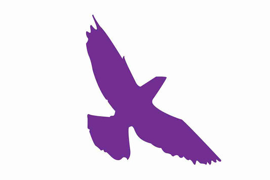 Autocollant de protection contre les oiseaux 60-100 cm ES-VOG-70-34, couleur violette, en plastique résistant aux intempéries.