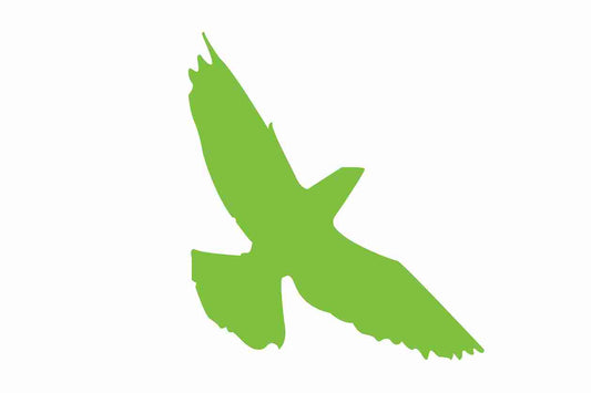 Autocollant de protection contre les oiseaux 60-100 cm ES-VOG-70-67, couleur verte, en plastique résistant aux intempéries.