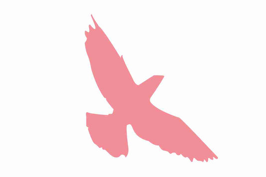 Autocollant de protection pour oiseaux 10–50 cm ES-VOG-70-812, couleur rouge clair, en plastique résistant aux intempéries.