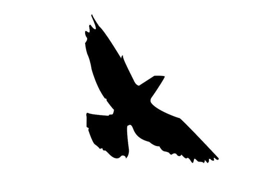 Autocollant de protection pour oiseaux 10–50 cm ES-VOG-70-88, couleur noire, en plastique résistant aux intempéries.