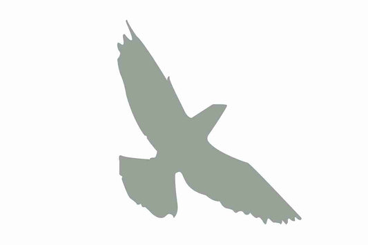 Autocollant de protection pour oiseaux 10–50 cm ES-VOG-70-91, couleur gris clair, en plastique résistant aux intempéries.