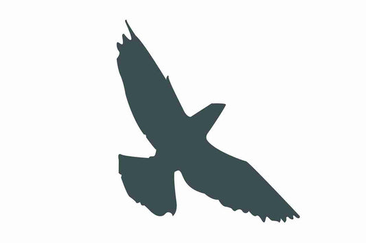 Autocollant de protection pour oiseaux 10–50 cm ES-VOG-70-93, couleur gris foncé, en plastique résistant aux intempéries.