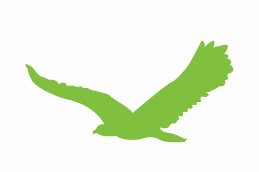 Autocollant de protection contre les oiseaux 10-50 cm ES-VOG-80-67, couleur verte, en plastique résistant aux intempéries.