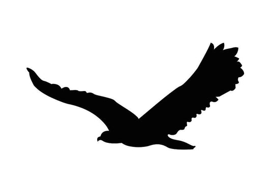 Autocollant de protection pour oiseaux 10–50 cm ES-VOG-80-88, couleur noire, en plastique résistant aux intempéries.