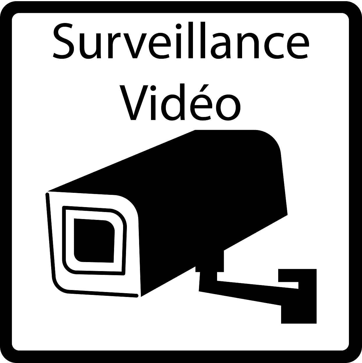 Pictogrammes de signalisation de bâtiment "Vidéosurveillance" 5-30 cm ES-PIKTO2200-88