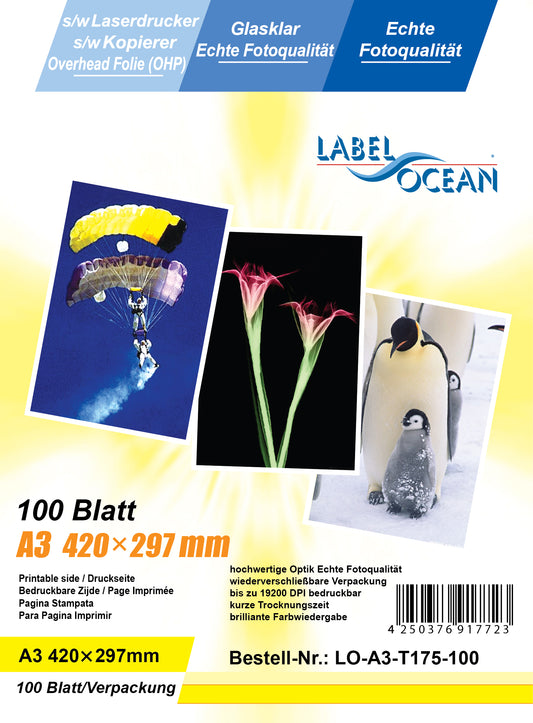 100 feuilles A3 film transparent LO-A3-T175-100 (OHP) film transparent-cristallin pour imprimantes laser noir et blanc et copieurs noir et blanc